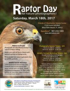Raptor Day For Nature Photographers