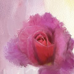 Mary M Collins