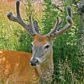 Activity Icon