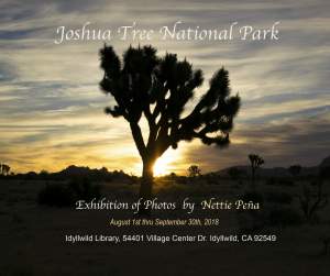 Exhibition Of Photos Of Joshua Tree National Park...