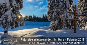 Fotoreise Winterwandern Im Harz