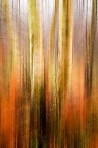Exhibition Of Landscape And Abstract Photography