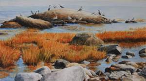 Marshes Dunes And Tidal Pools