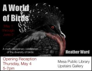 A World Of Birds Opening Reception