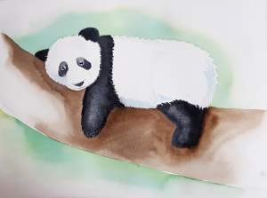 Beginners Watercolor Painting Class  'lazy Panda'