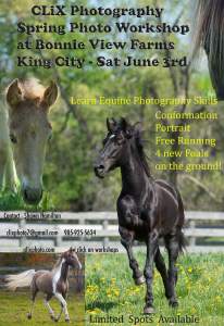 Spring Equine Photography Workshop