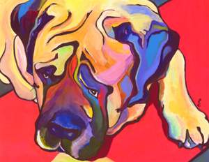 Colorful Attitudes Painting Your Pet