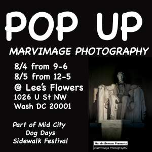 Marvimage Photography Popup At Mid City Dog Days...