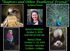 Raptors and Other Feathered Friends by Nancy Conant Featured artist Show 